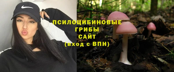 ешки Волоколамск